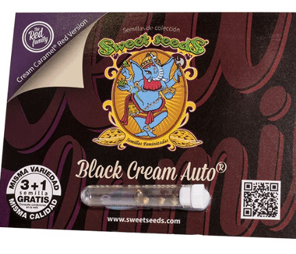 BLACK CREAM AUTO (3+1)