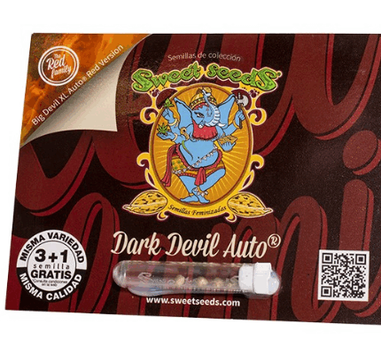 DARK DEVIL AUTO (3+1)
